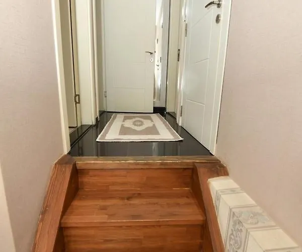 Miran * 伊斯坦布尔